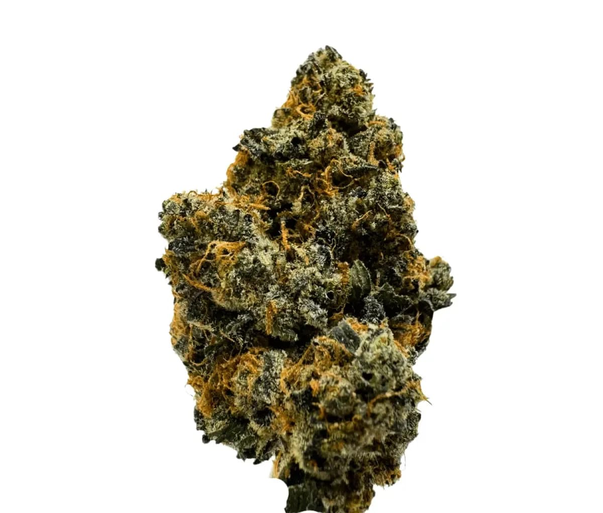 J.R. Strain 22/1 - Sudz