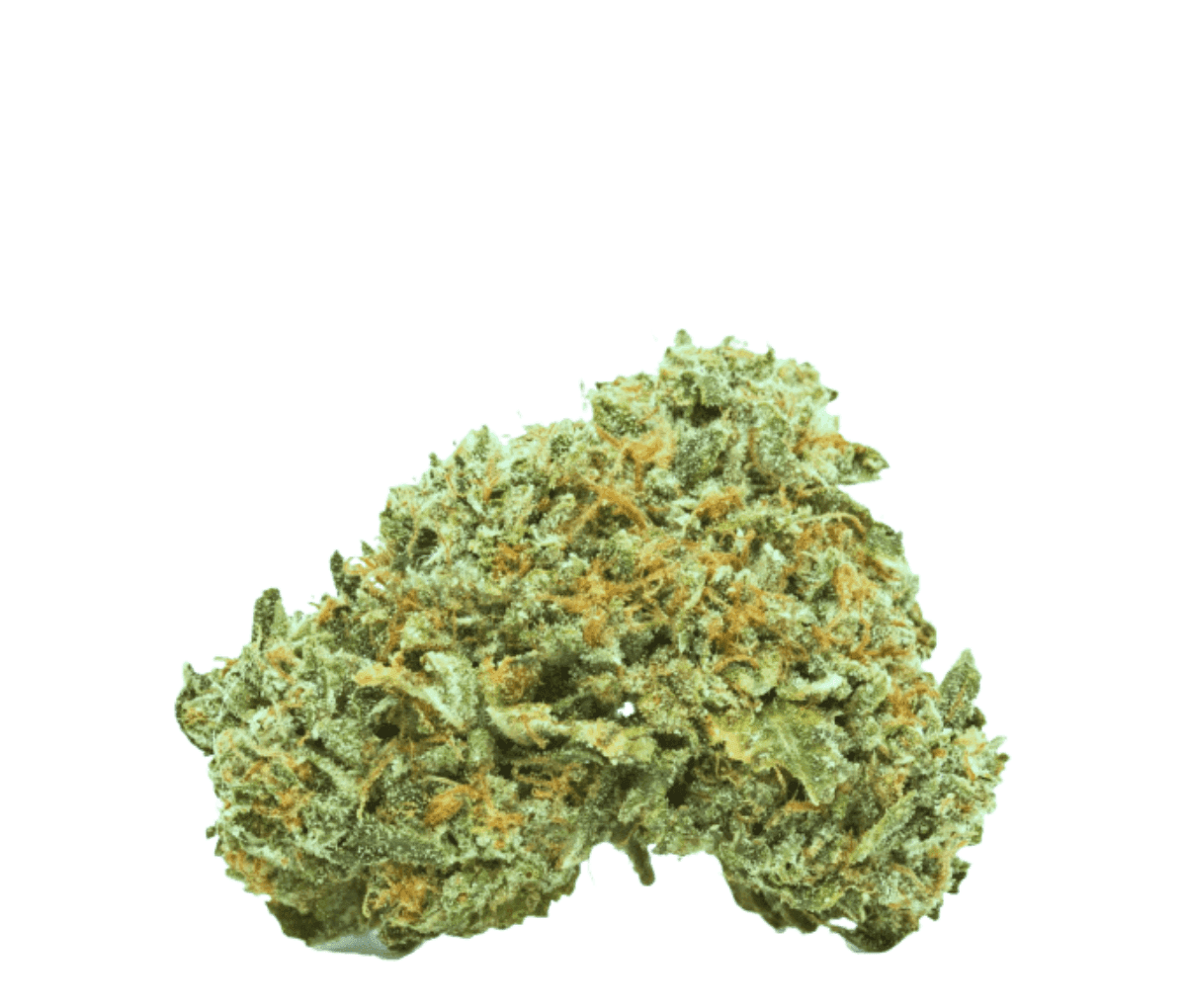 Luana 24/1 APE - Sour Ape