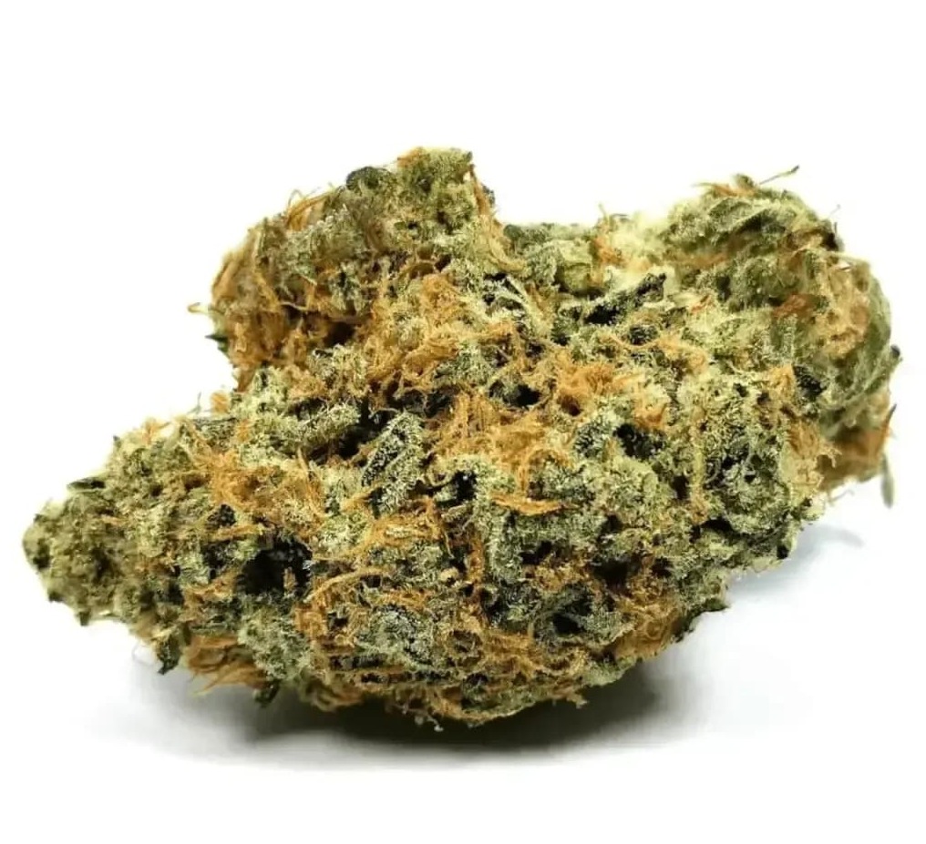 Nimbus easy 26/1 - La Sage Nimbus easy 26/1 - La Sage