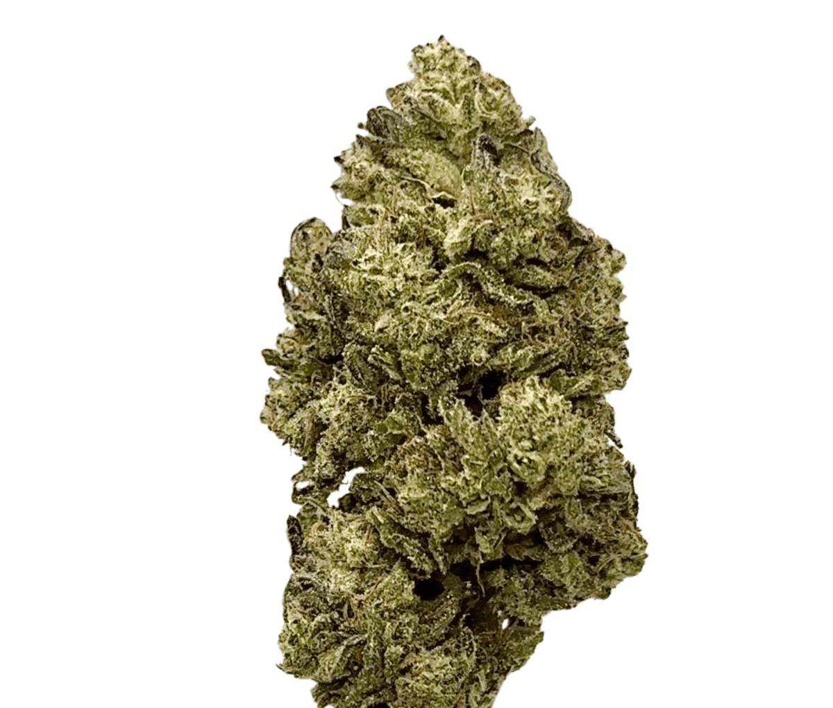 Avaay Signature 23/1 - Blueberry Yum Yum Avaay Signature 23/1 - Blueberry Yum Yum