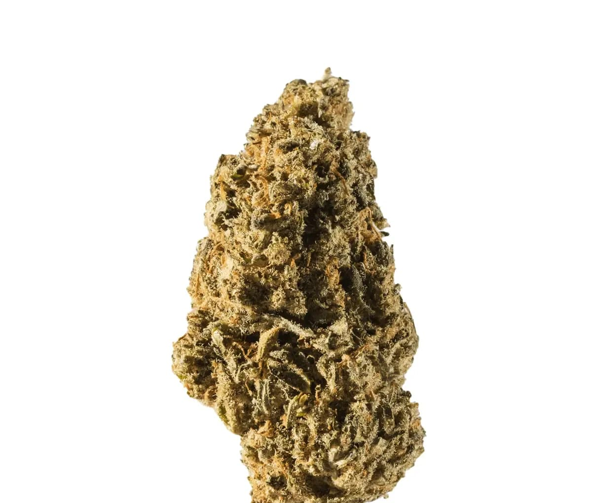 Vayamed 12/8 CAN - Cannatonic Vayamed 12/8 CAN - Cannatonic