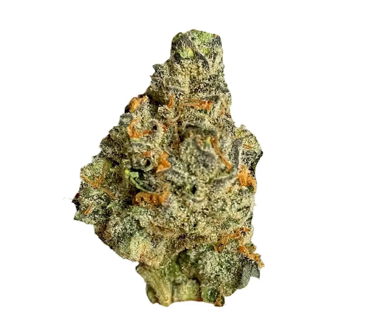 Nimbus easy 22/1 - Strawberry Glue Nimbus easy 22/1 - Strawberry Glue