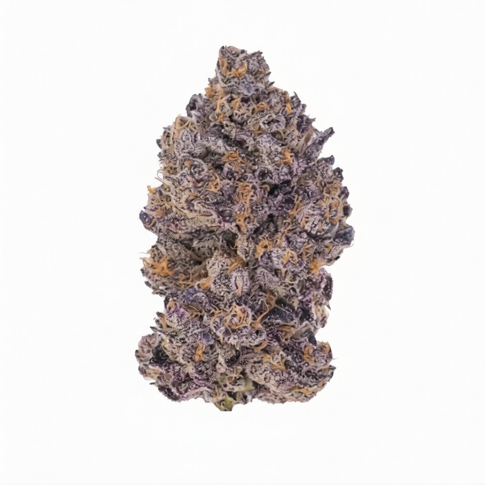 Enua 25/1 BT CA Black Truffle