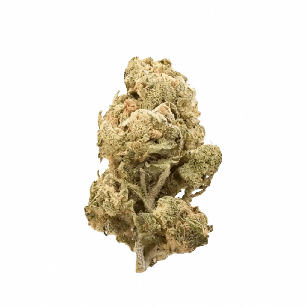 Cannamedical CM 24/1 - Rainbow Cookies