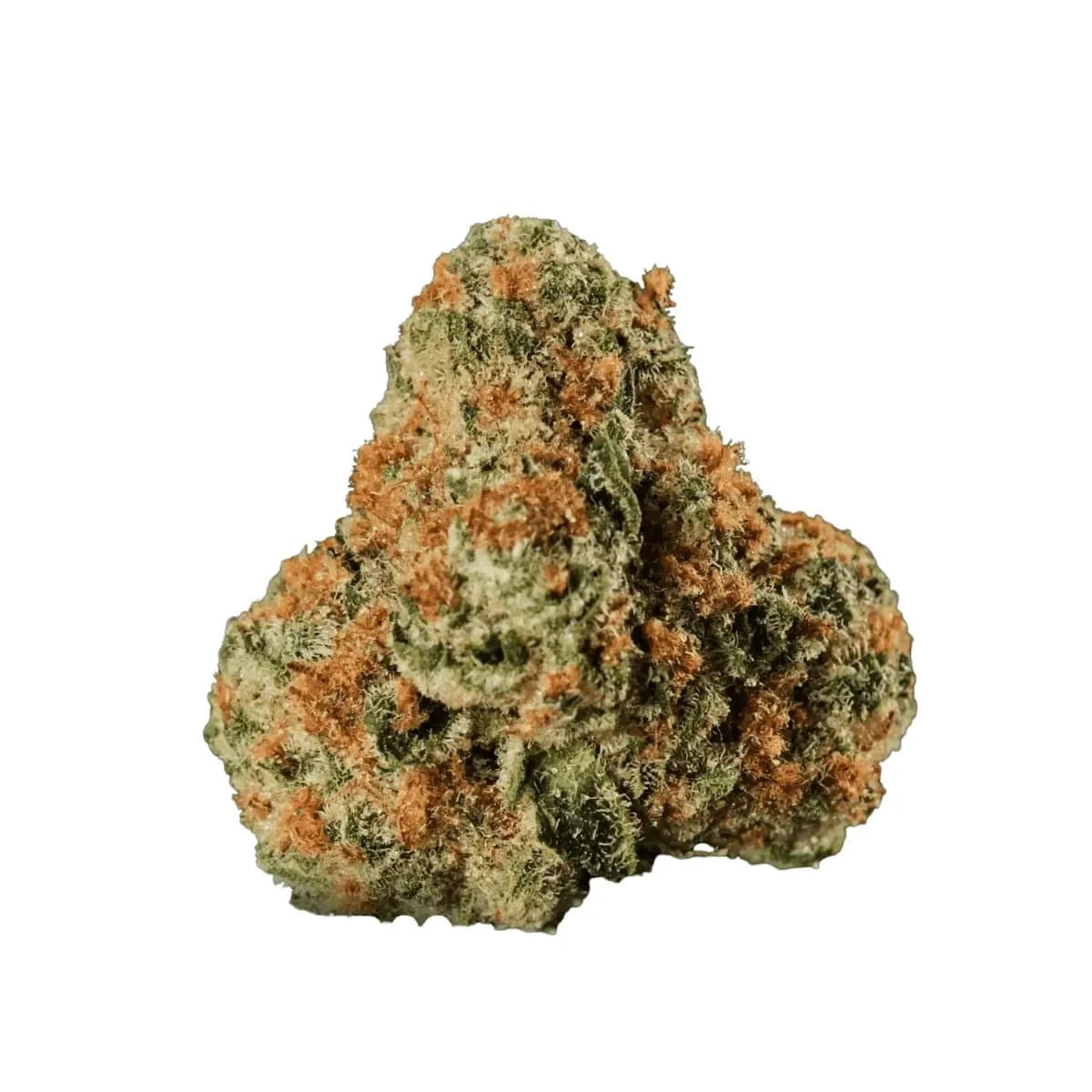 Huala 30/1 UK WTR - Waffle Truffle Huala 30/1 UK WTR - Waffle Truffle