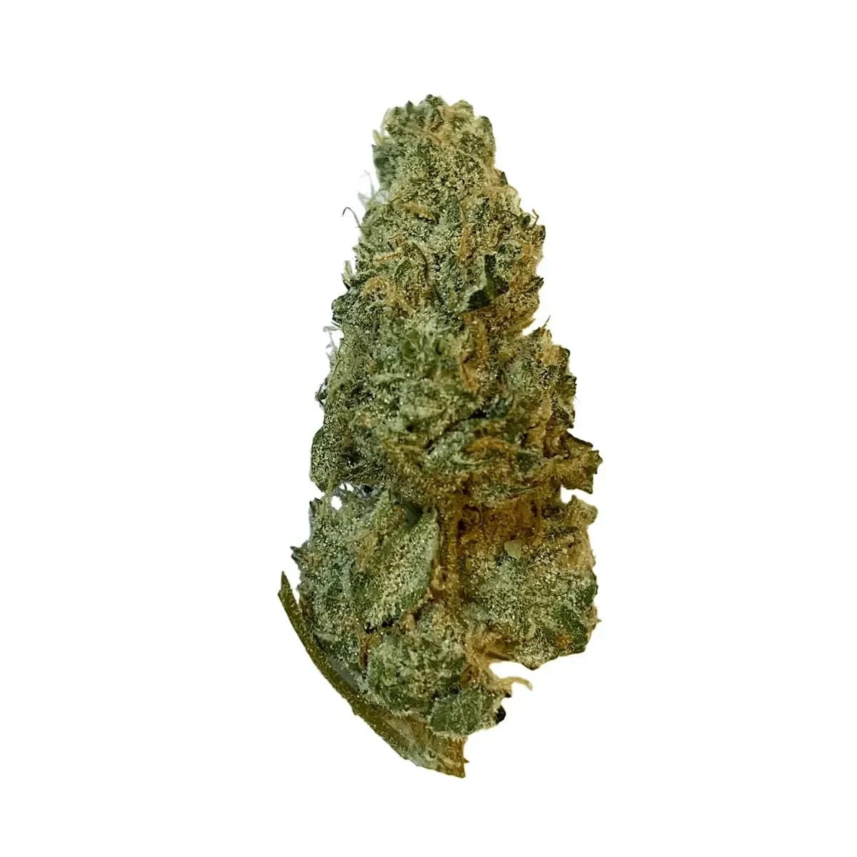 420 Evolution 33/1 CA GMO Cookies 420 Evolution 33/1 CA GMO Cookies