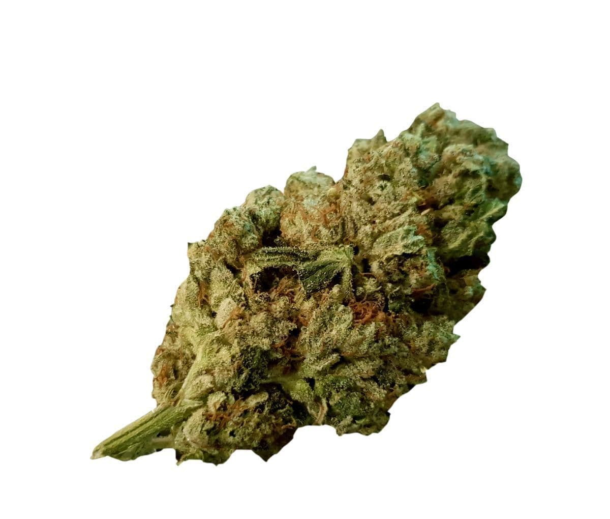 Remexian 30/1 SIU GG4 - Gorilla Glue Remexian 30/1 SIU GG4 - Gorilla Glue