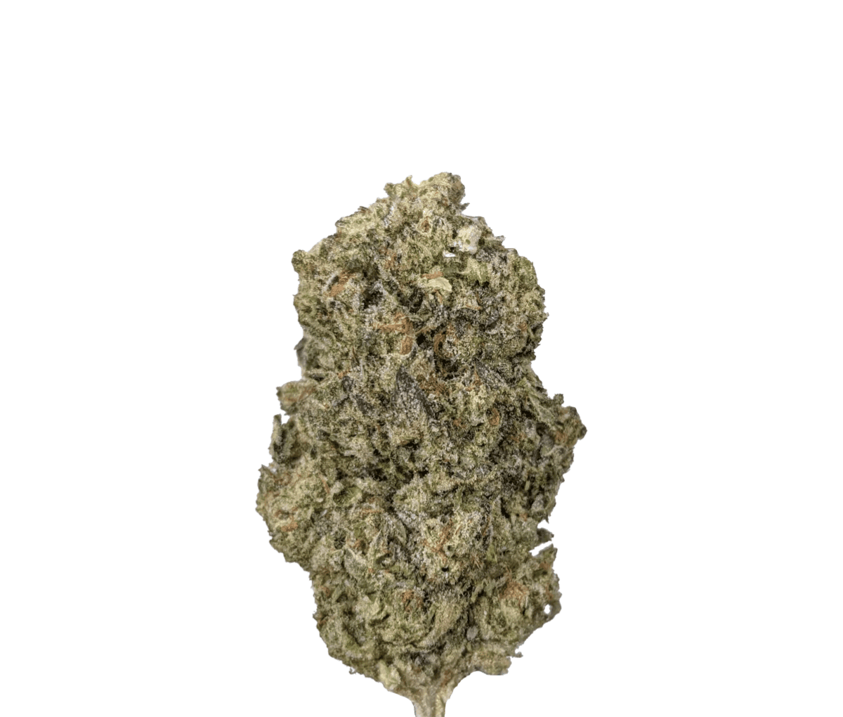 Huala 20/1 CA HOM - Holy Mints Huala 20/1 CA HOM - Holy Mints