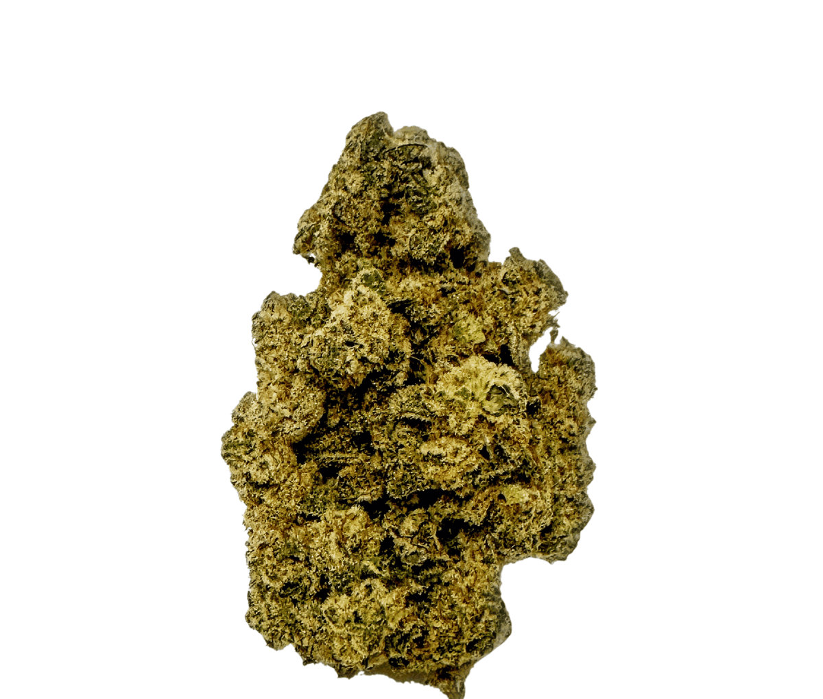 Pedanios 31/1 Chemango Kush Pedanios 31/1 Chemango Kush