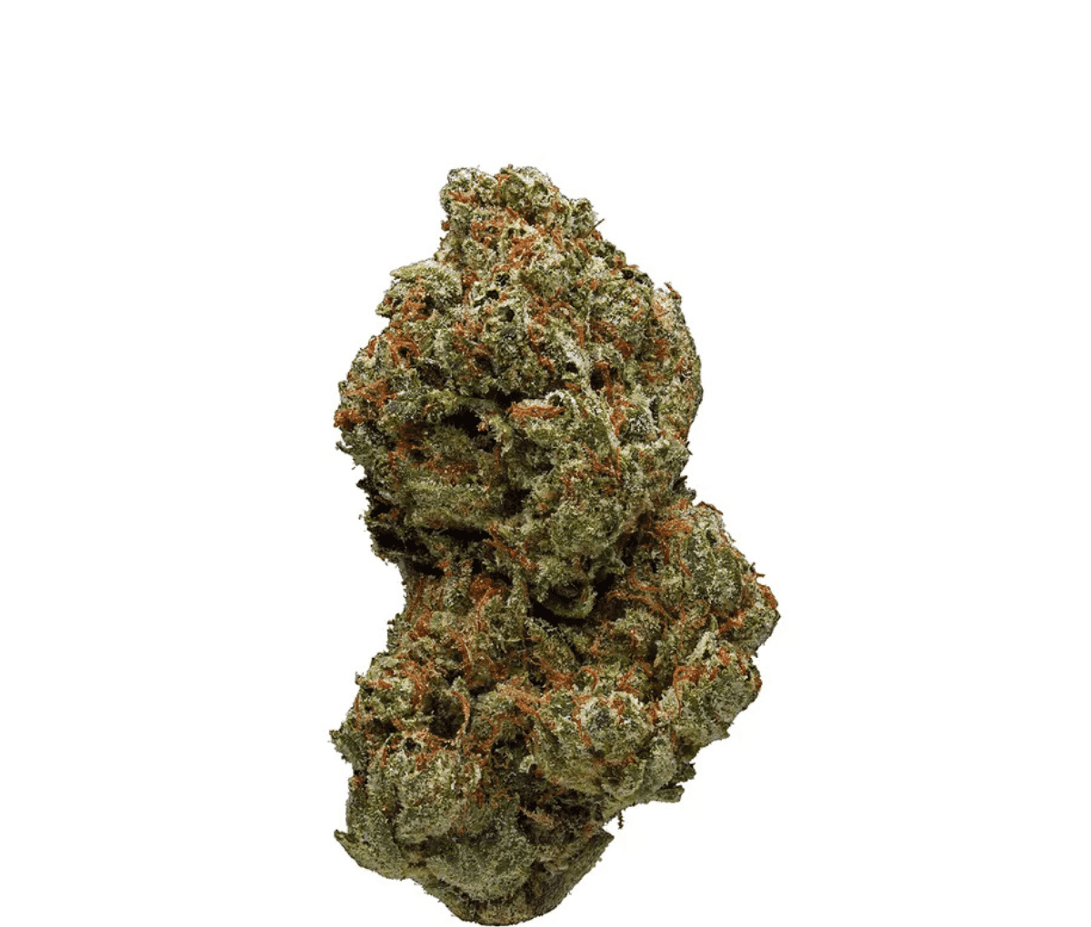 Cannamedical Indica Forte BC - Tangerine Boost Cannamedical Indica Forte BC - Tangerine Boost