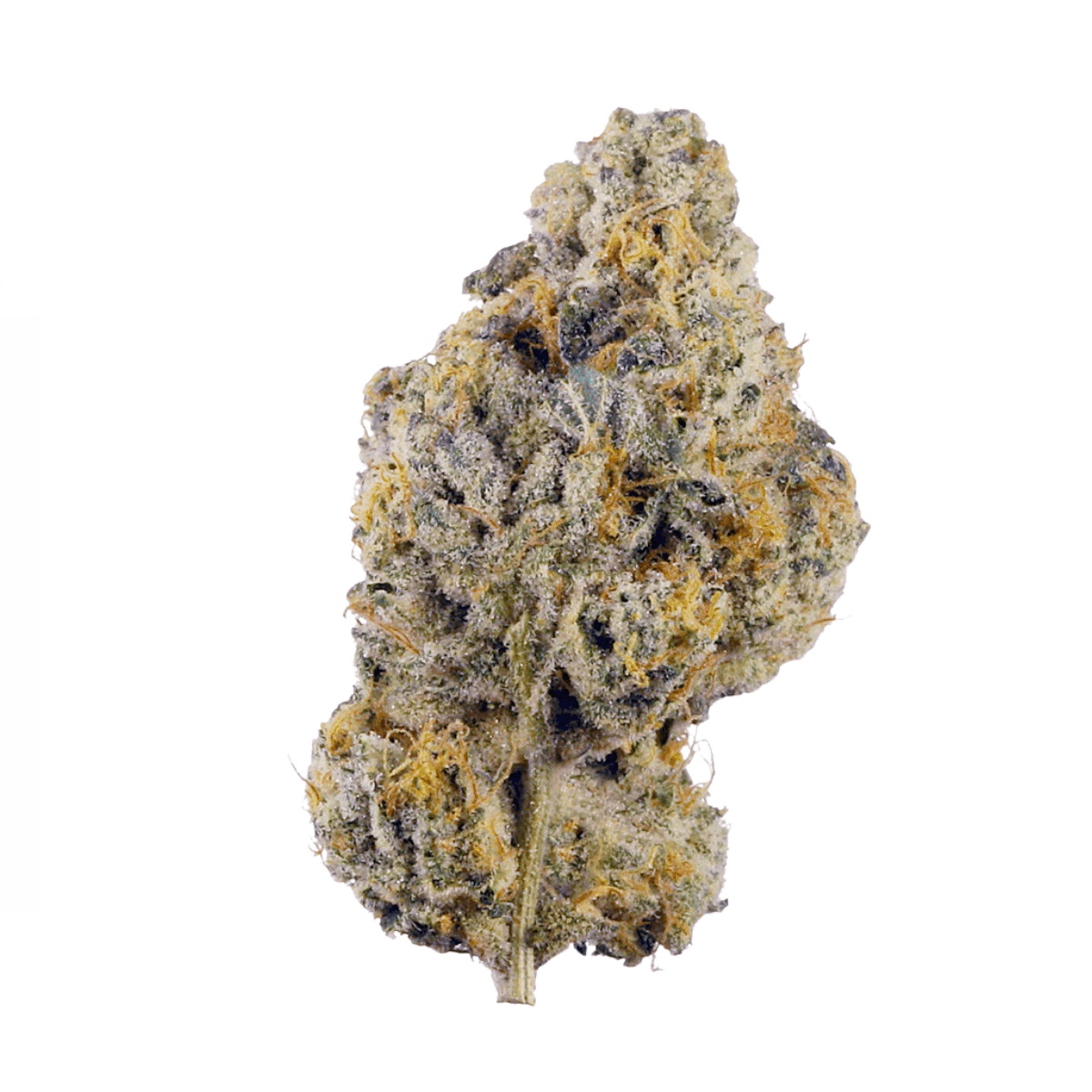 enua 25/1 WPP PT Wedding Pop