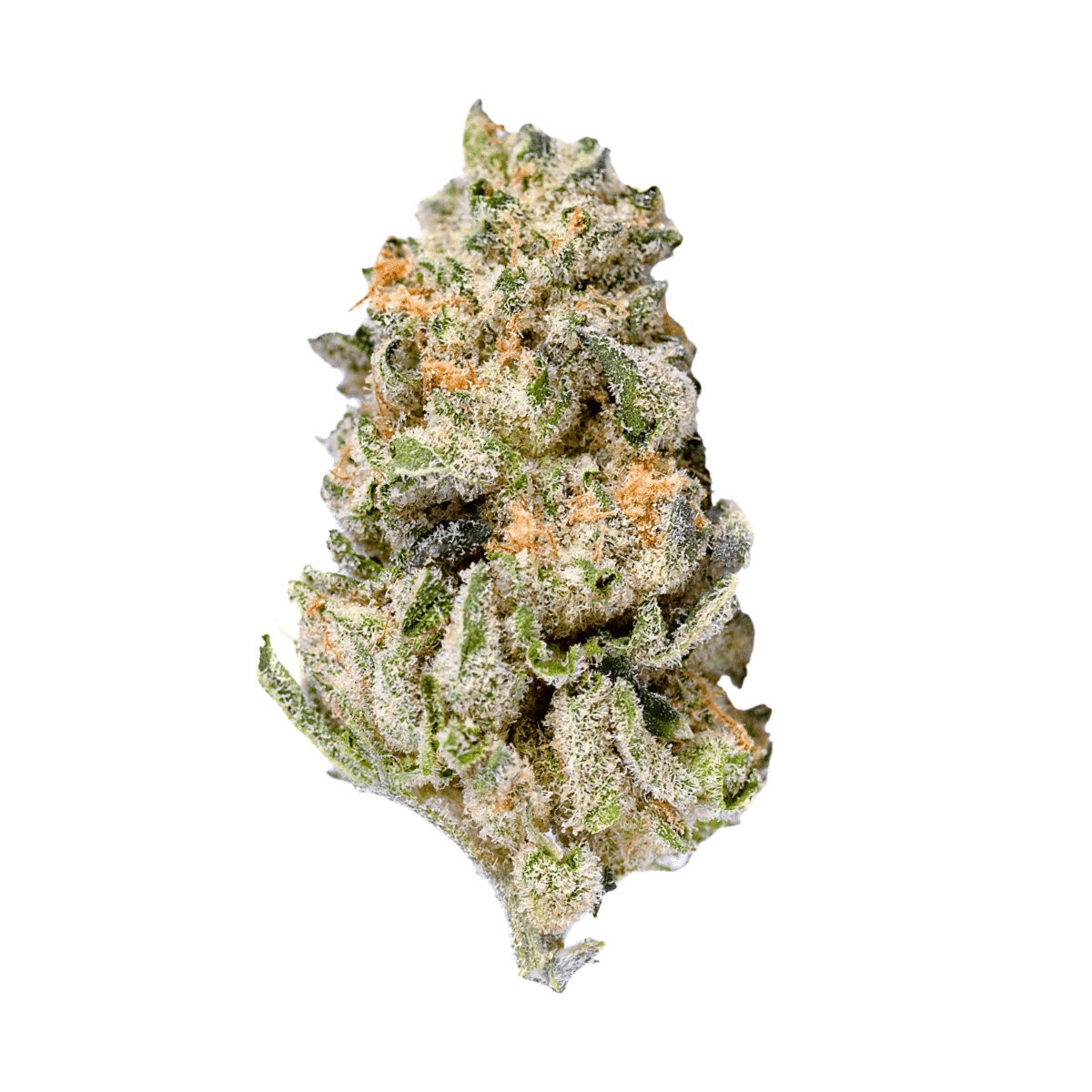 Eufloria 33/1 LBA - LA Baker