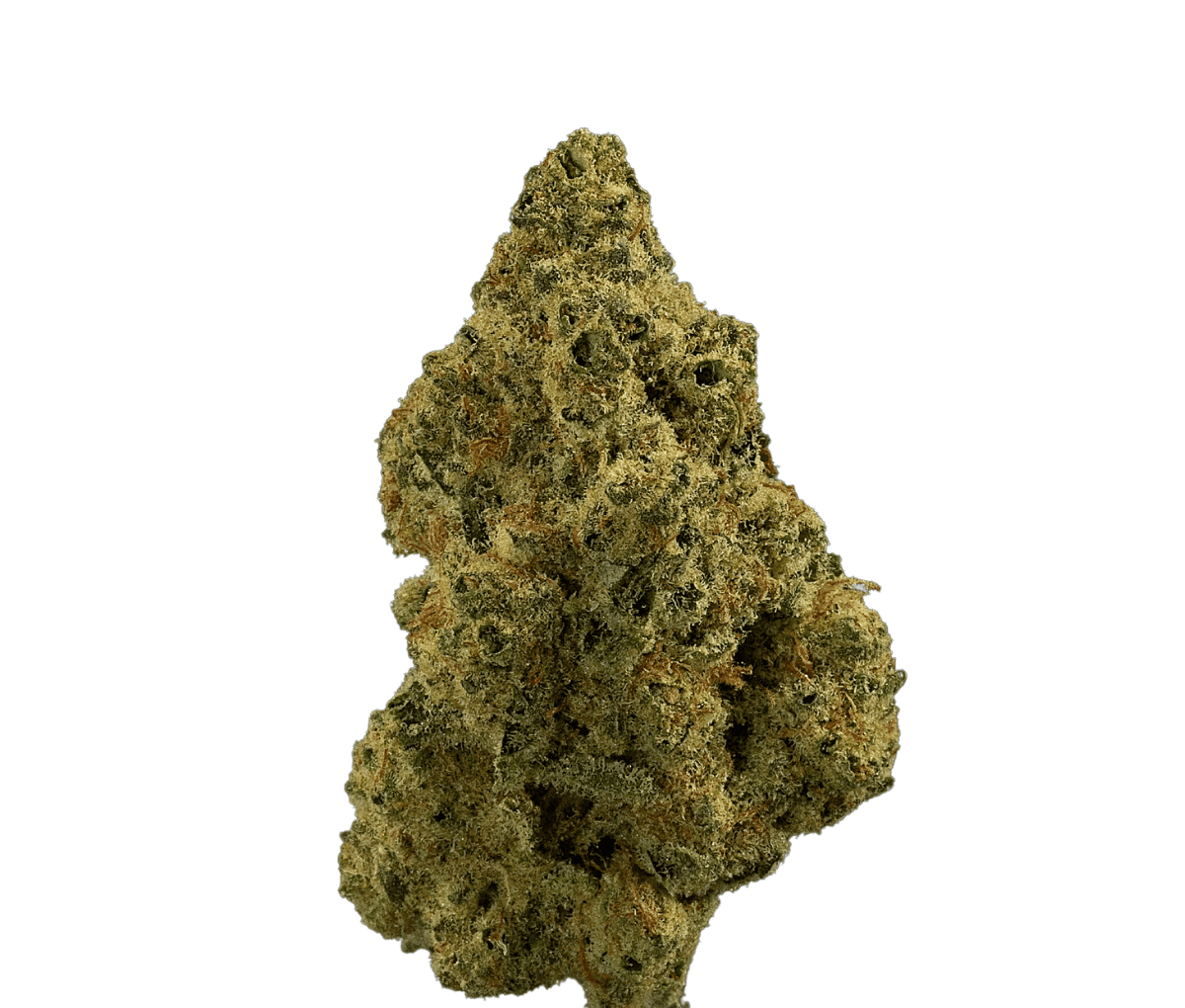 madrecan 18/1 - Granddaddy OG