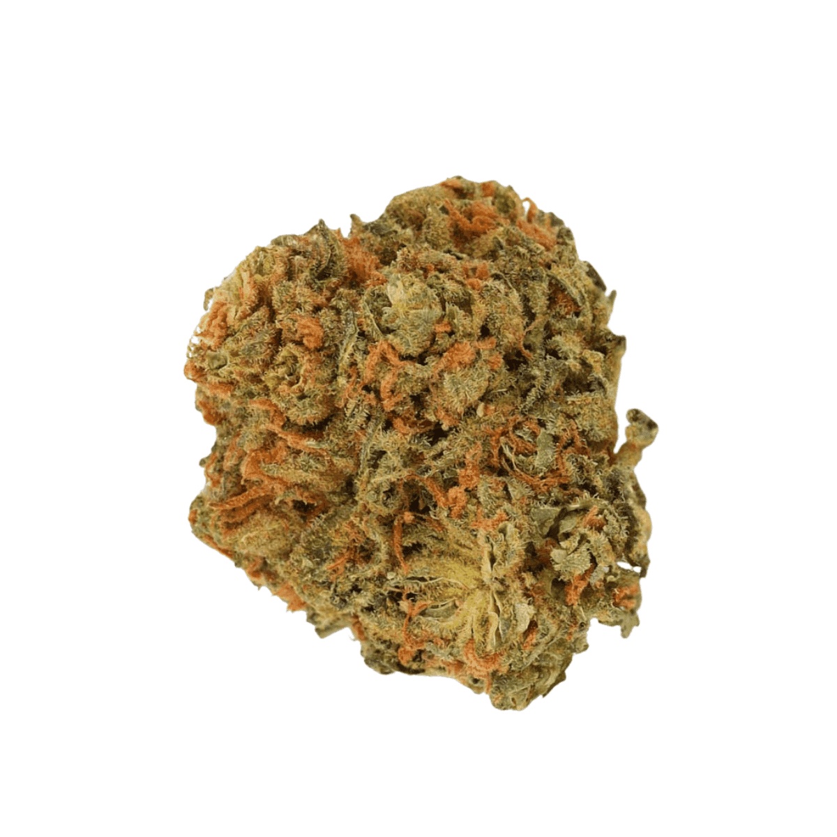 Luana 32/1 Pine - Solpina Magic