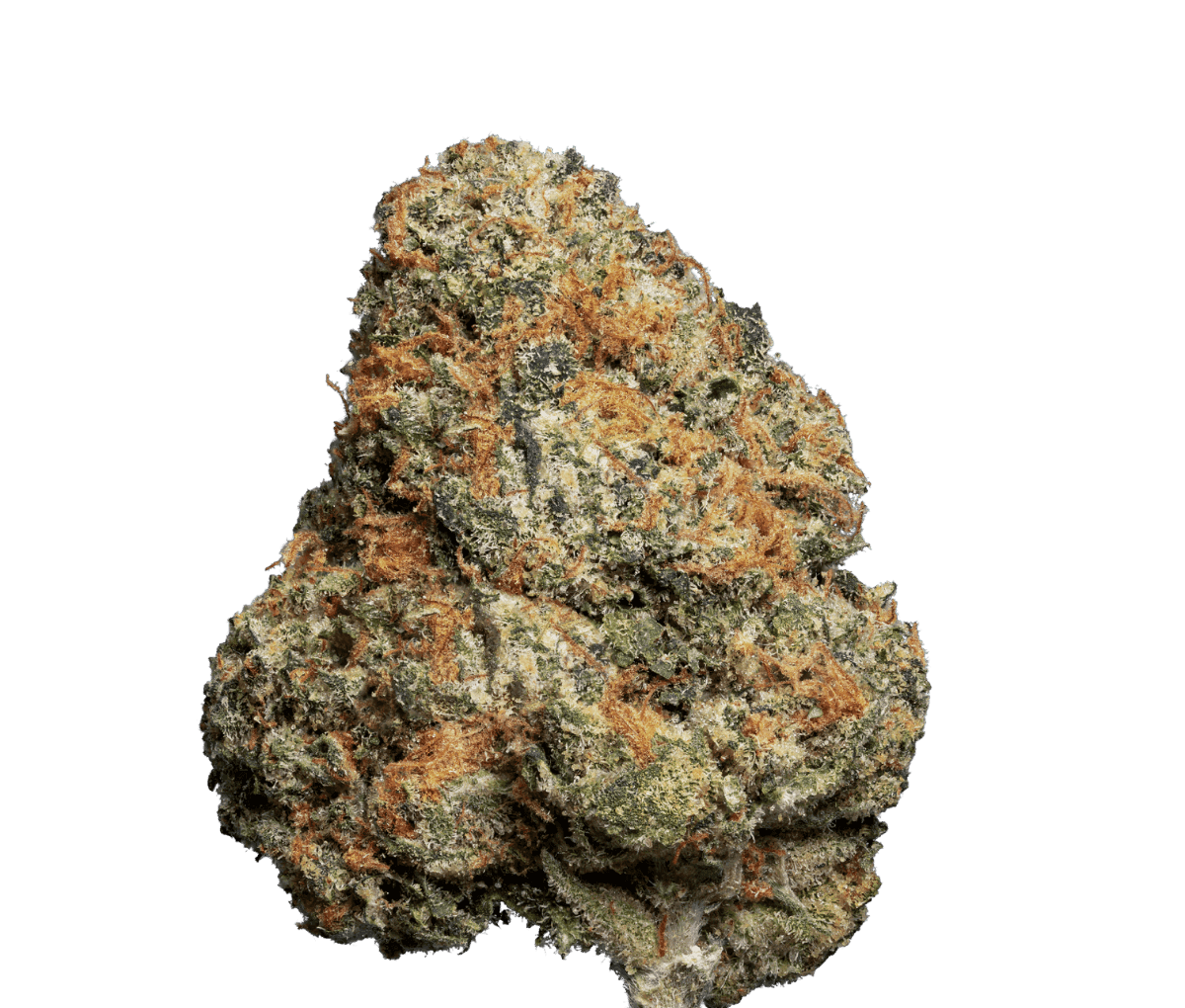 enua 22/1 JFG CA - Jet Fuel Gelato enua 22/1 JFG CA - Jet Fuel Gelato