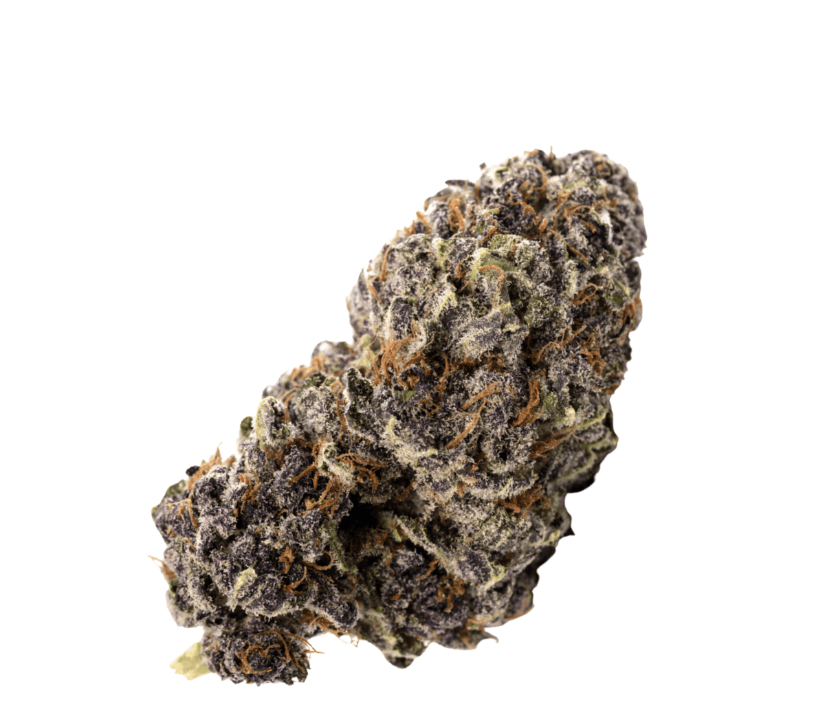 Demecan Craft Blue Z 20/1 - Blue Zushi Demecan Craft Blue Z 20/1 - Blue Zushi