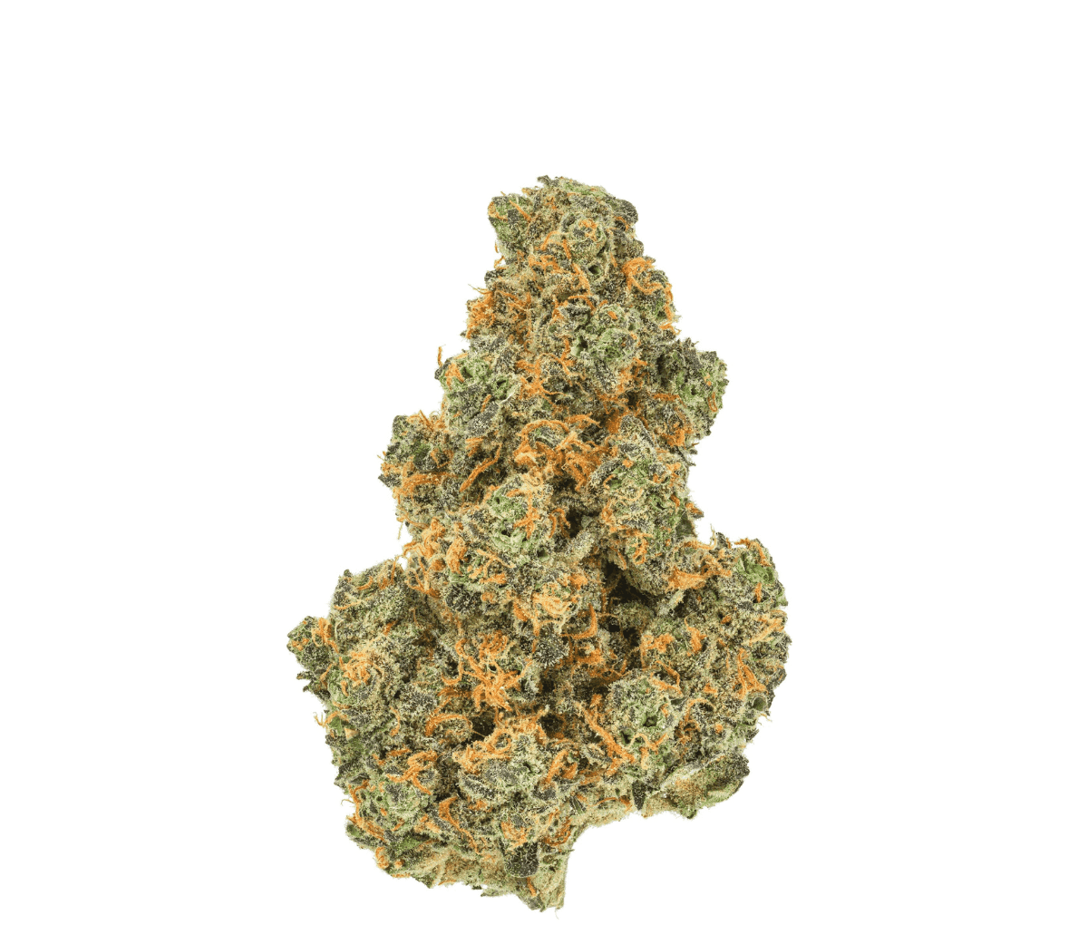 Pedanios 31/1 PND-CA - Pink Diesel Pedanios 31/1 PND-CA - Pink Diesel