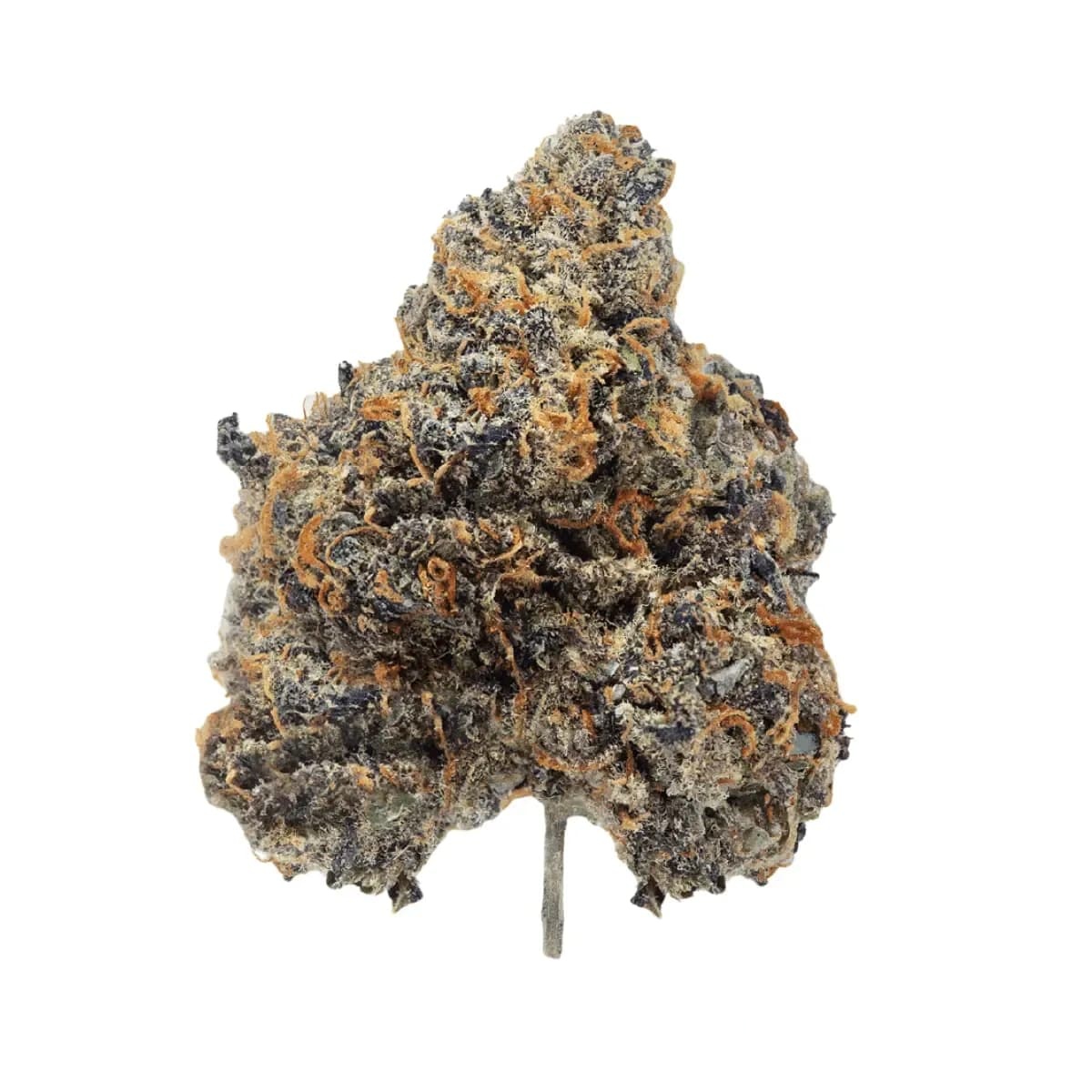 Remexian 27/1 PGF GLN - Gelonade Remexian 27/1 PGF GLN - Gelonade