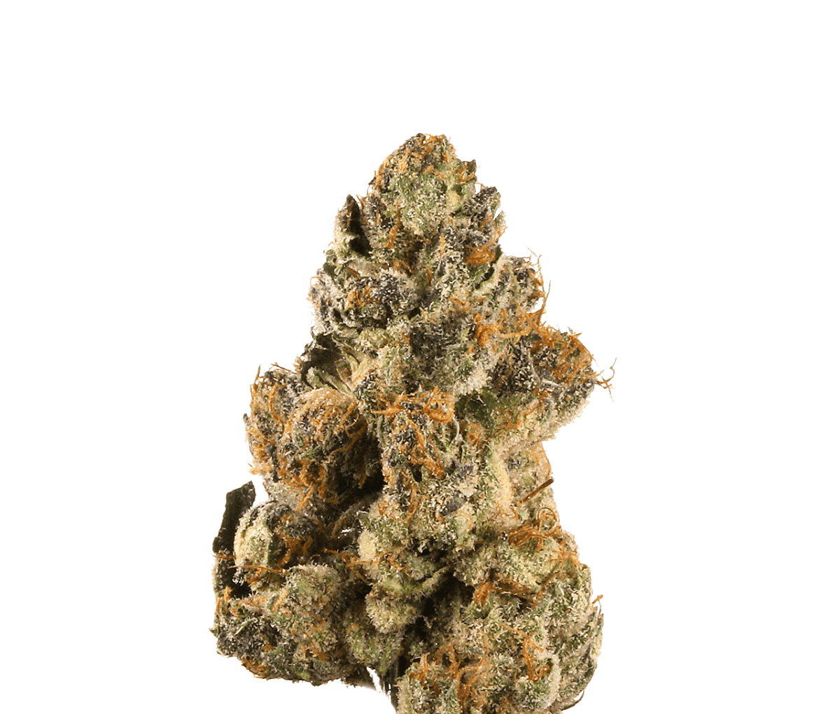 Demecan Craft Electron 28:01 - Gelato OG Kush Demecan Craft Electron 28:01 - Gelato OG Kush