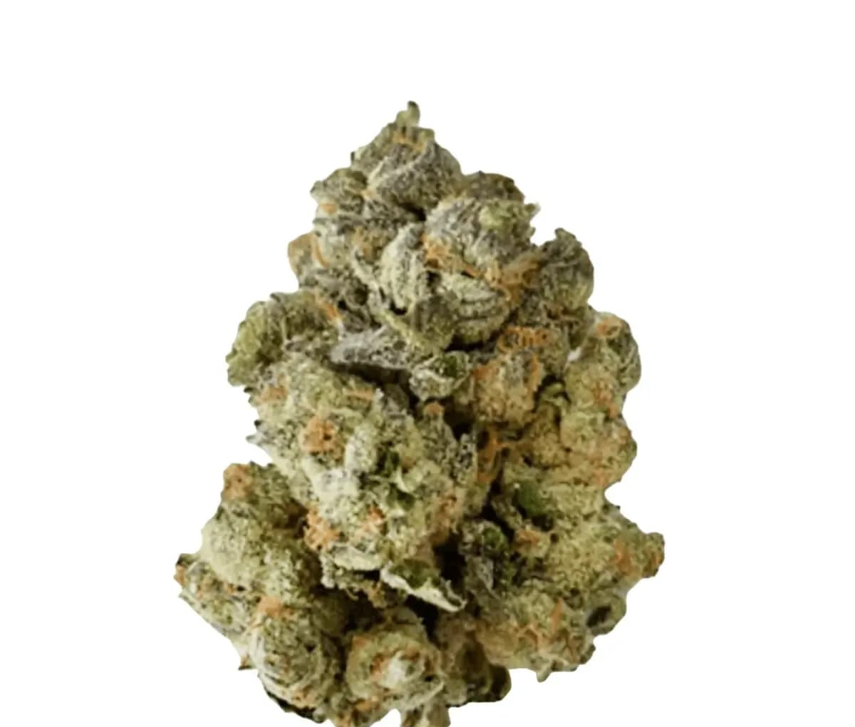 BC Green 27/1 HGH BC Green 27/1 HGH