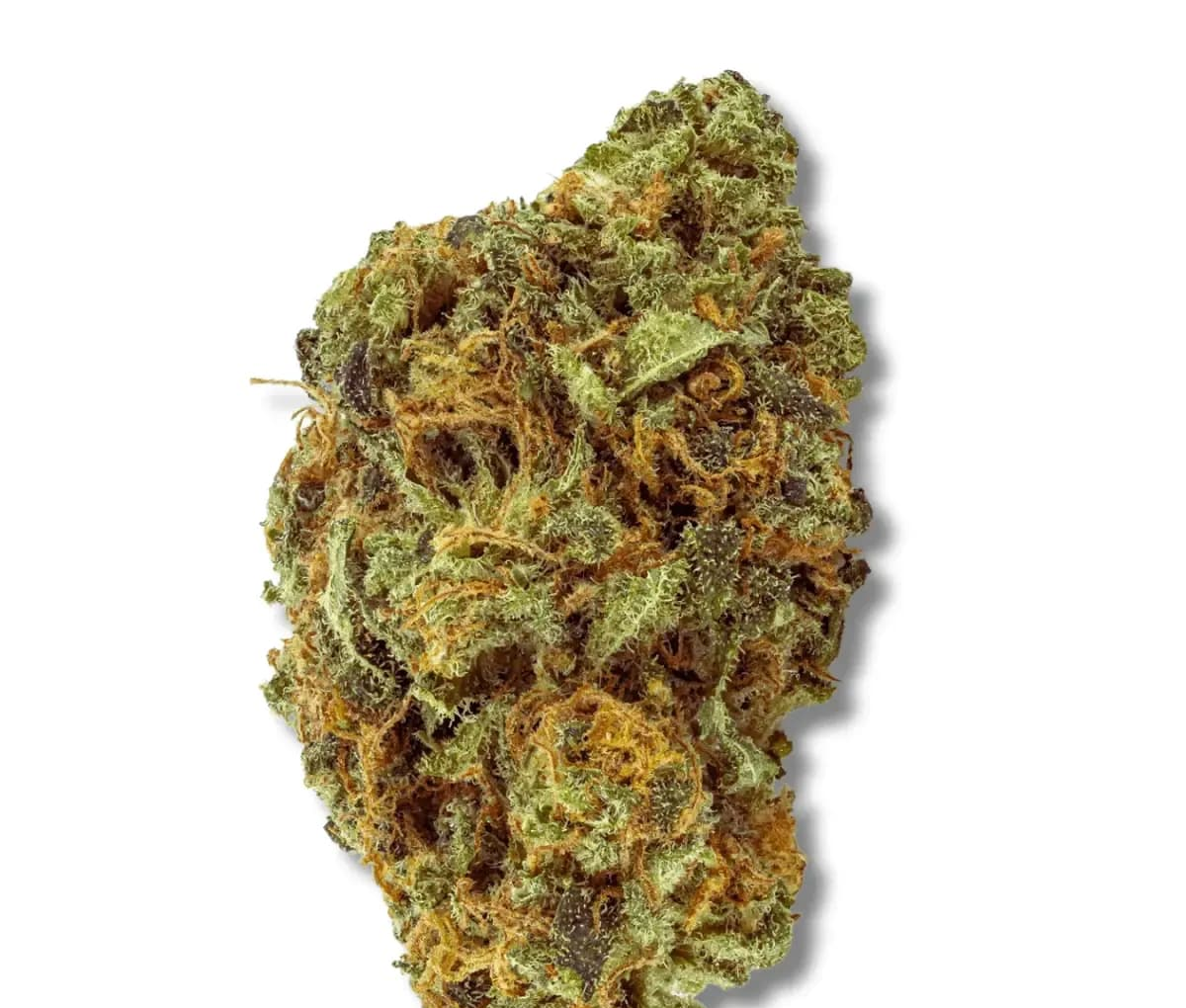 Remexian 16/1 Nordle