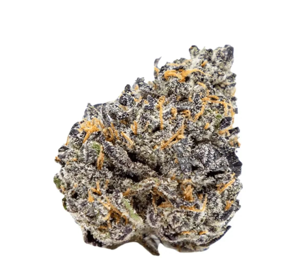 Bathera 25/1 - Velvet Glove