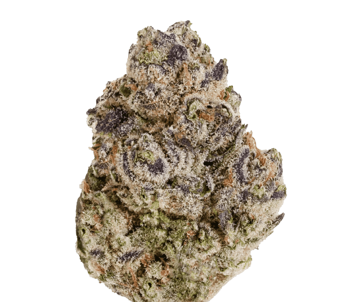 Enua BCP 22/1 - Black Cherry Punch Enua BCP 22/1 - Black Cherry Punch