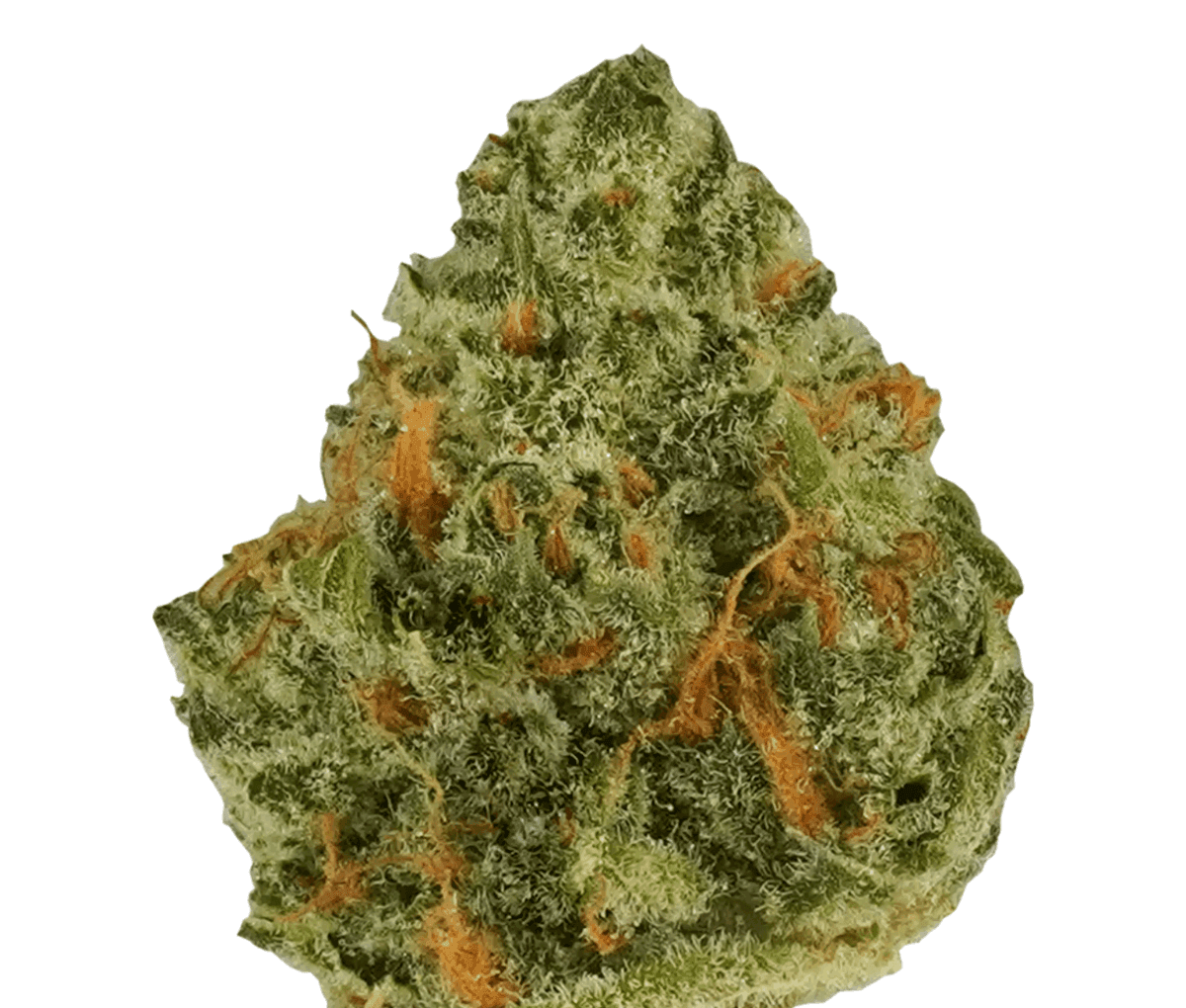 Remexian 27/1 OKC - Orange Kush Cake Remexian 27/1 OKC - Orange Kush Cake