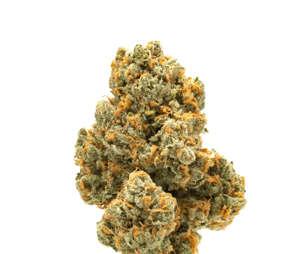 Tilray Craft Cannabisblüten THC25 CCC - Cherry Cheesecake Tilray Craft Cannabisblüten THC25 CCC - Cherry Cheesecake