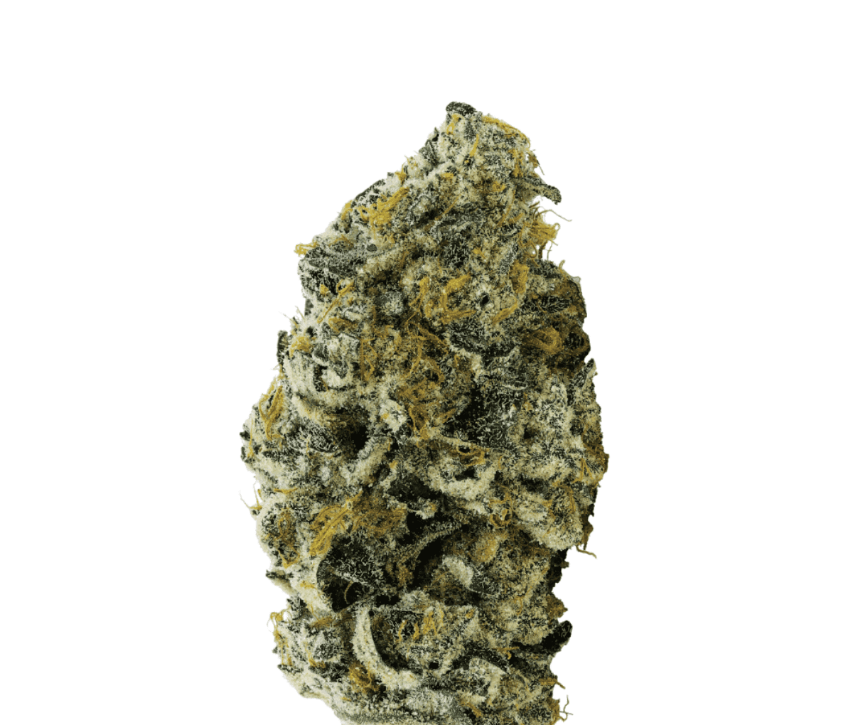 Avaay 27/1 Jet Fuel Pie Avaay 27/1 Jet Fuel Pie