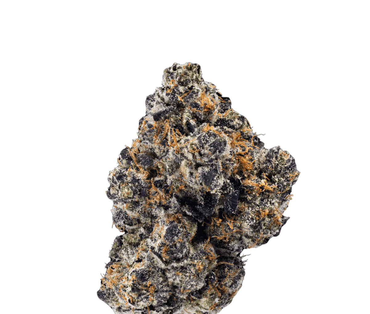 Enua 25/1 SJ CA - Splitter Jelato Enua 25/1 SJ CA - Splitter Jelato