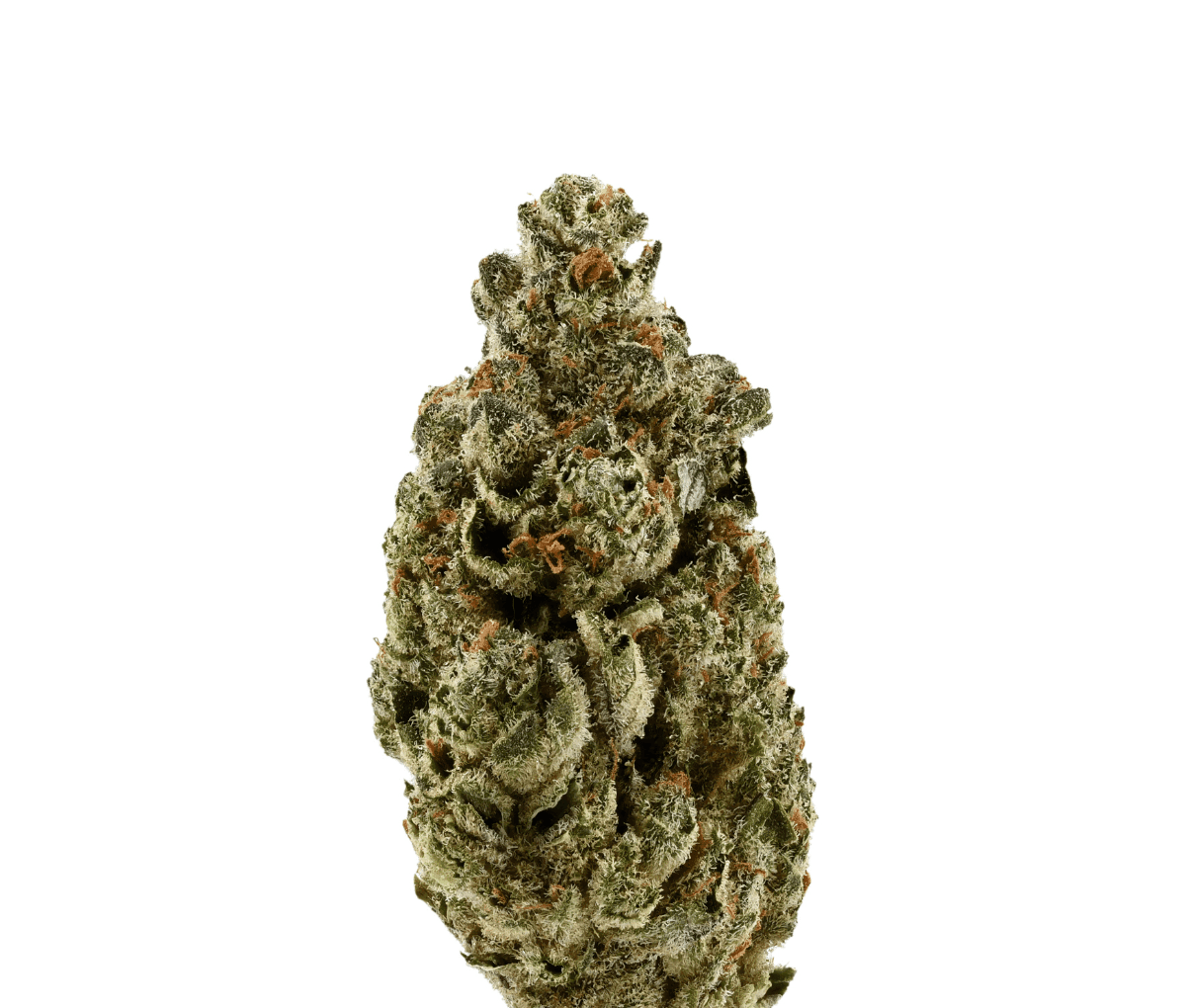 Demecan Core Illume 18:01 - Vanilla Ice Demecan Core Illume 18:01 - Vanilla Ice