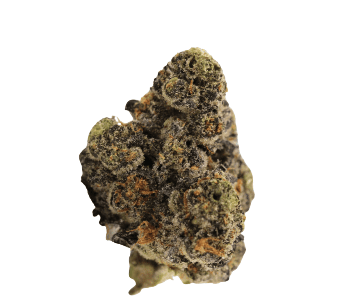 Green Karat RO 30/1 - Runtz OG