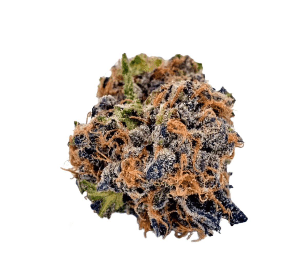 Nimbus 22/1 RZM - Runtz Mintz Nimbus 22/1 RZM - Runtz Mintz