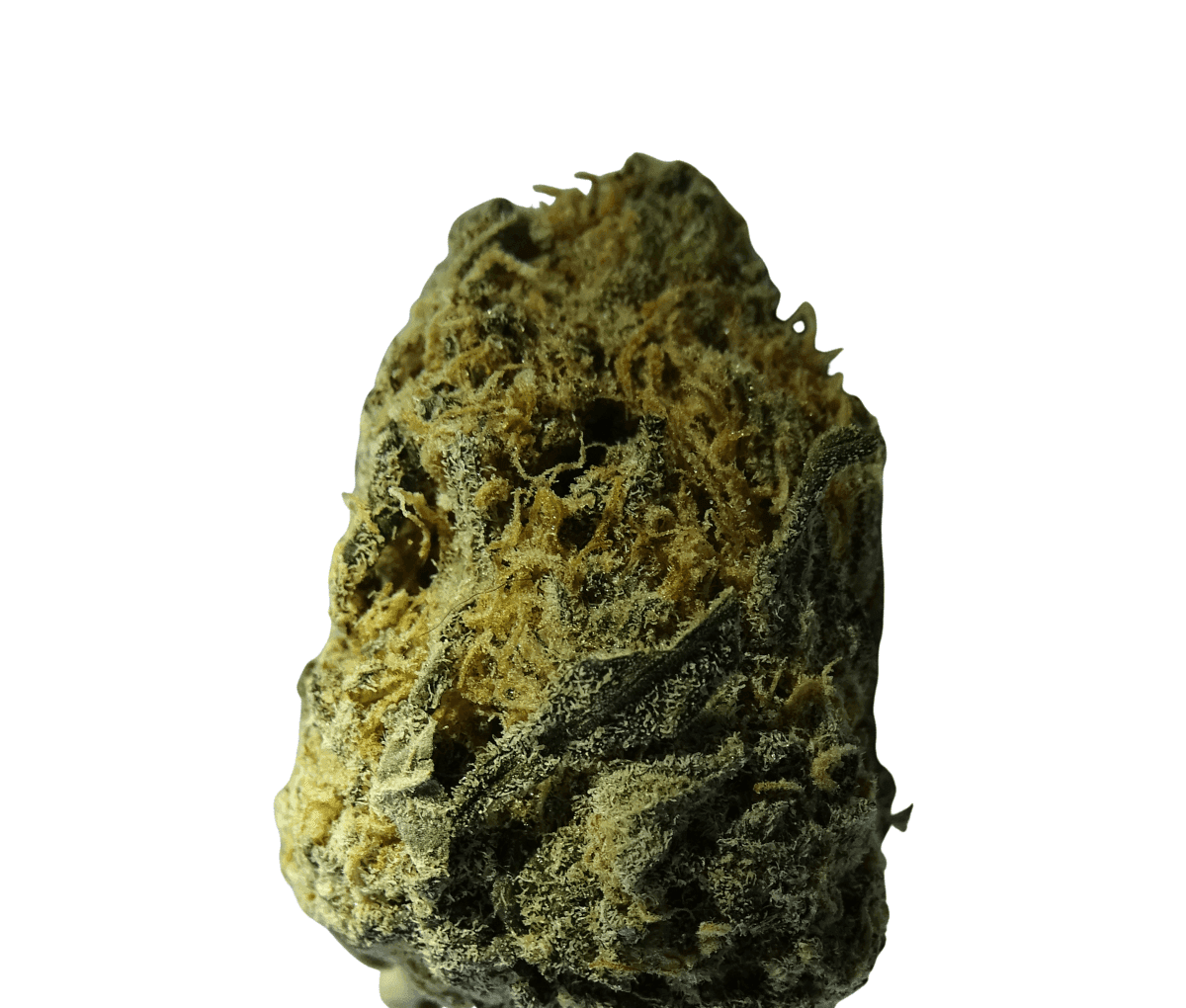 enua 25/1 11R CA - White Widow Cheese