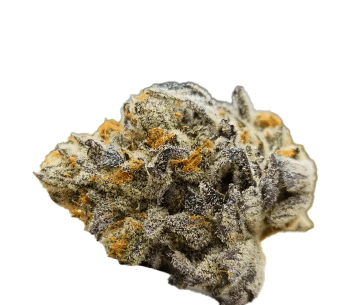 BC Green SCK 25/1 - Scotti´s Cake