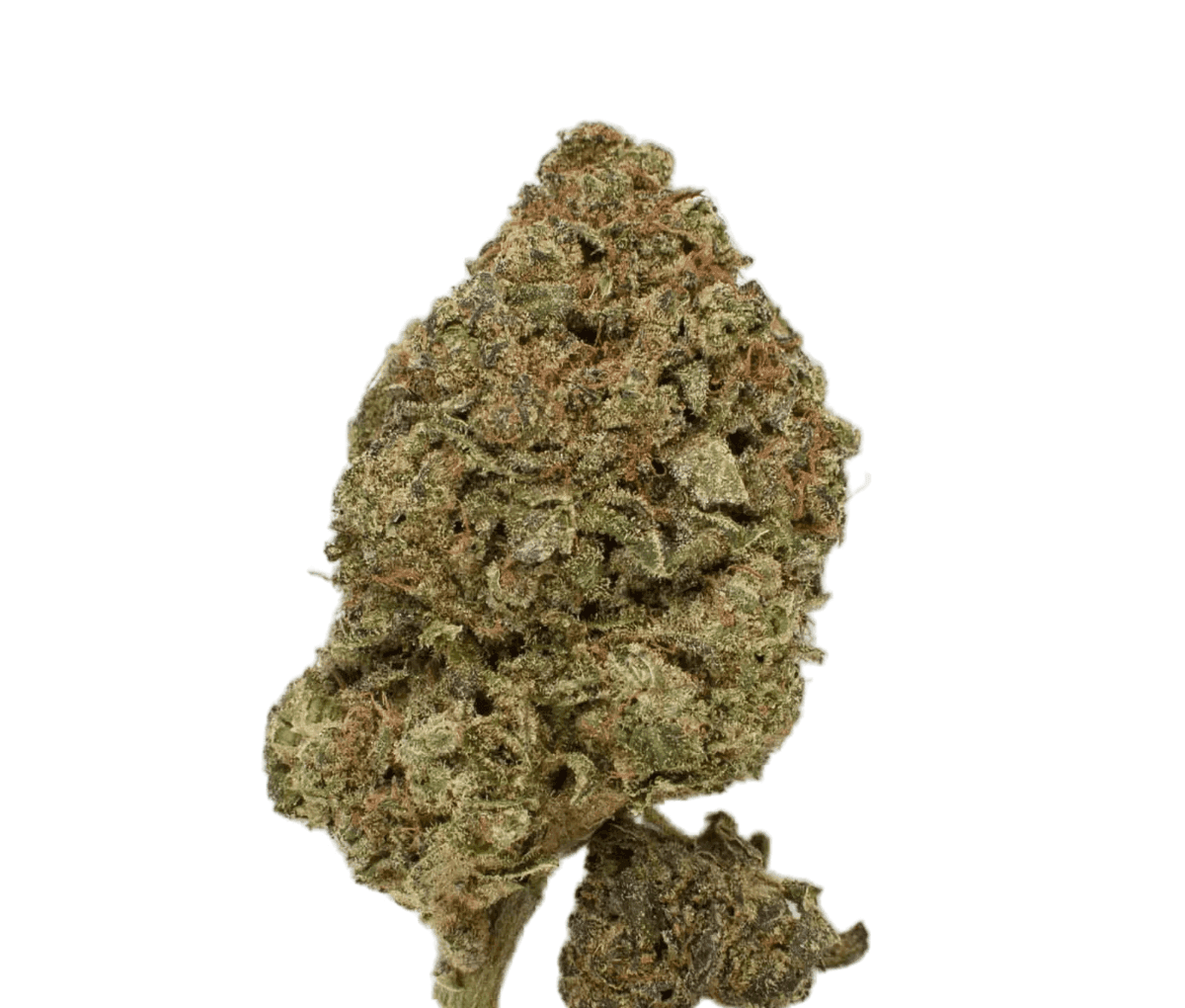 enua 33/1 JGF - Jungle Fumes