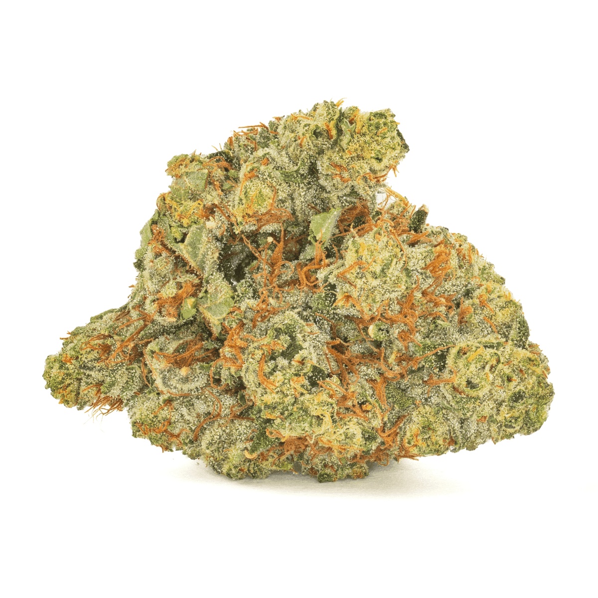 San Raf 29/1 PNK - Pink OG Kush