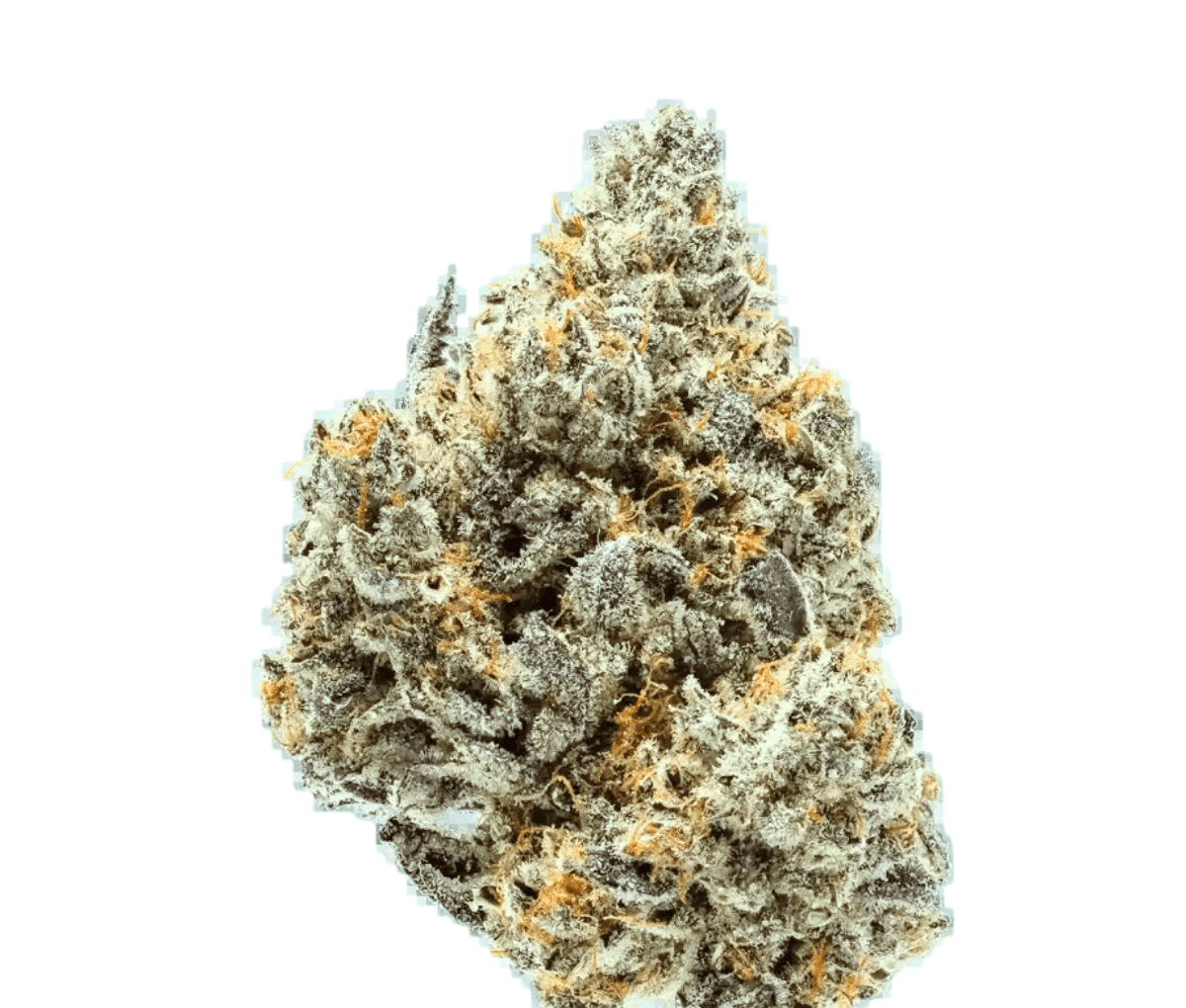 Remexian 30/1 PRT SCK - Strawberry Cookies 