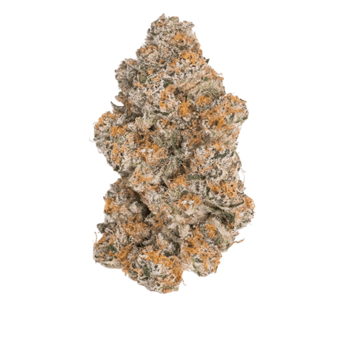 Luana 28/1 - Durban Poison