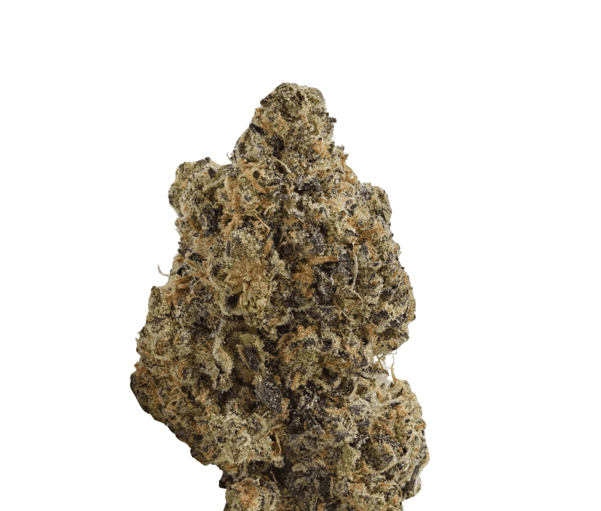 TRUU GT 27:01 - Crumbled Lime 27 TRUU GT 27:01 - Crumbled Lime 27