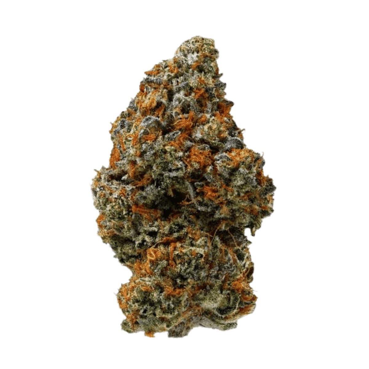 Island Genetics KOGP 27/1 - Kool Grapes