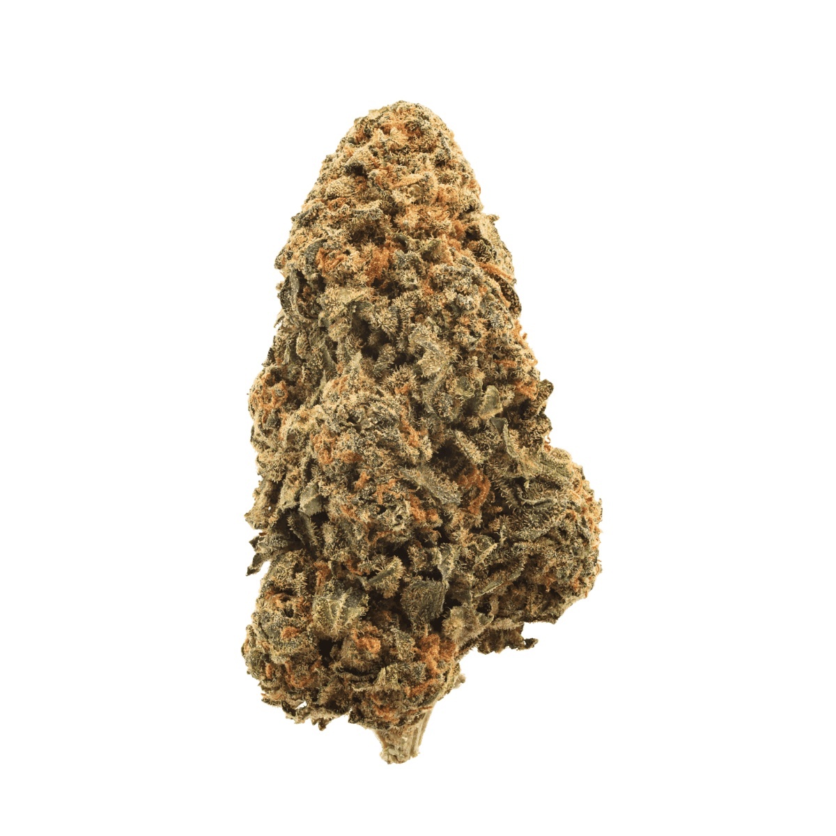 Onit FL 20/1 - Forbidden Lolly