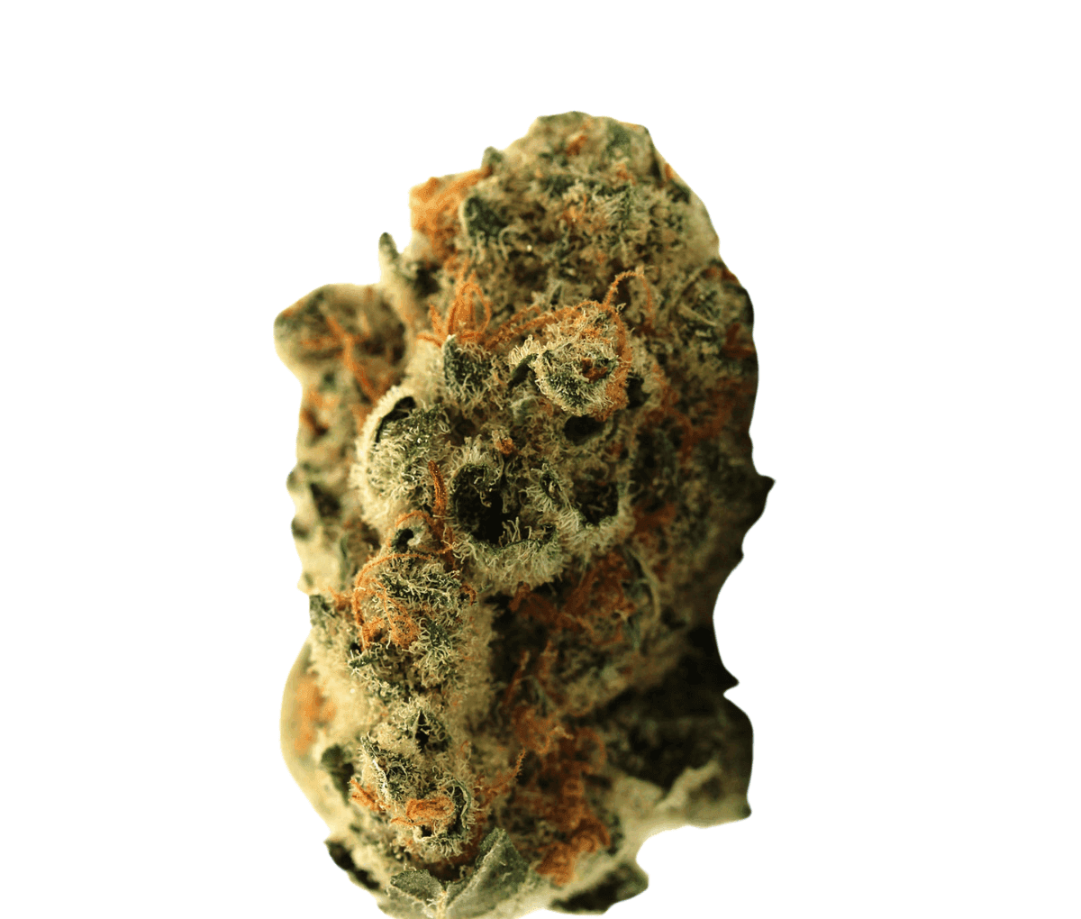 Demecan 22:01 Florestura - Super Haze x Amnesia