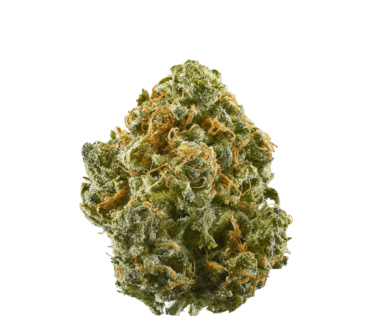 MCCN No. 3 - Guava Haze MCCN No. 3 - Guava Haze