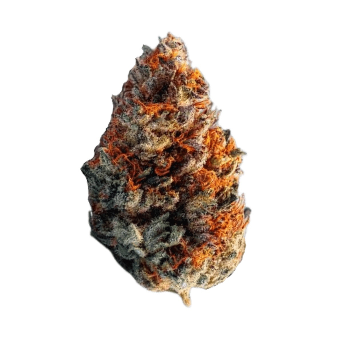 Cannamedical Sativa Ultimate NM - Blue Lavender Cannamedical Sativa Ultimate NM - Blue Lavender