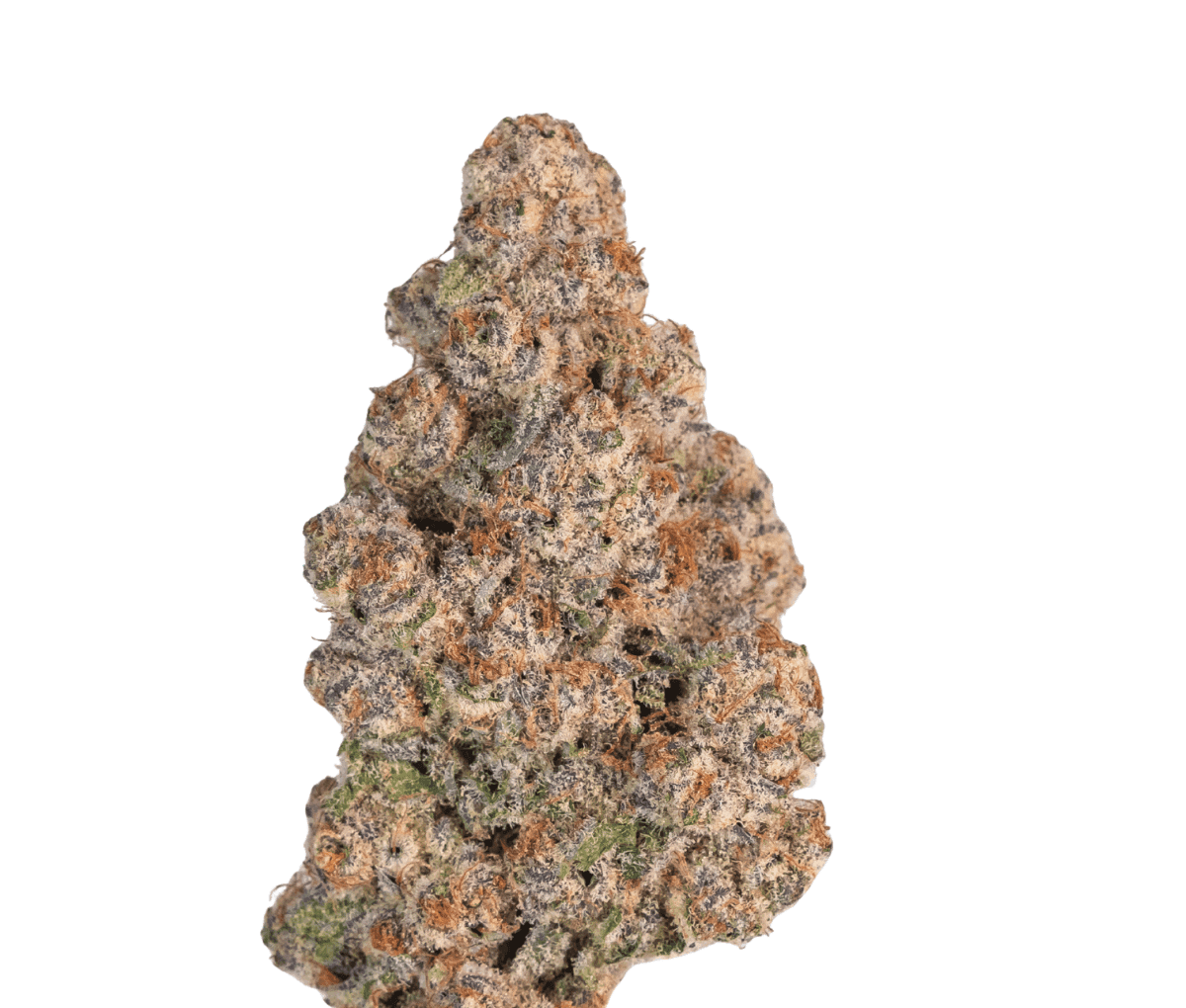 DrWatson 16 SZ day AUS - Sub Zero DrWatson 16 SZ day AUS - Sub Zero