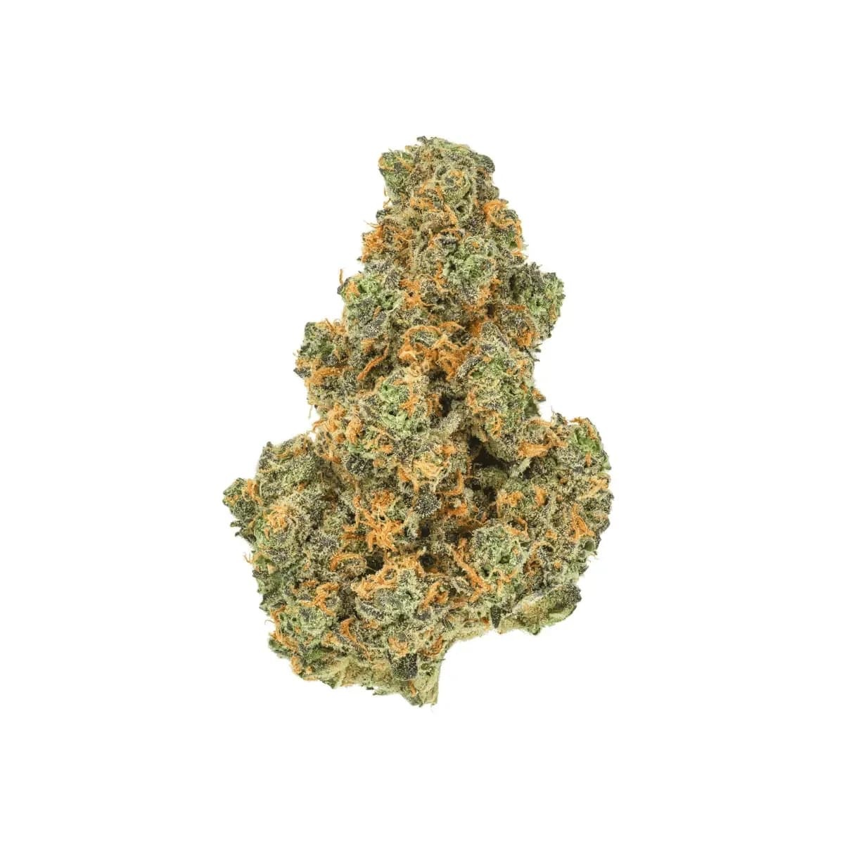 Pedanios 29/1 PND Pink Diesel