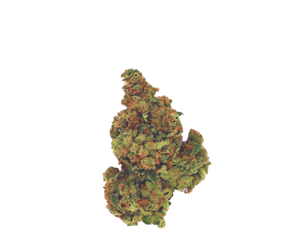 Remexian 30/1 PRT TFT - Think Fast