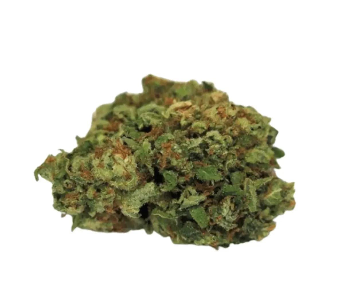 Madrecan DGV 21/1 minis - Dougs Varin